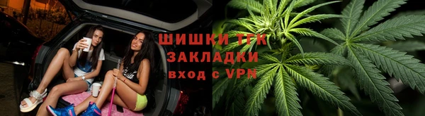 бошки Заводоуковск