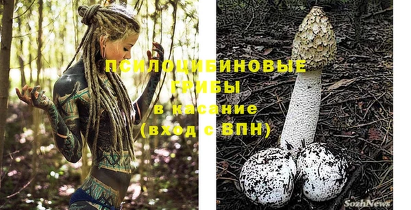 гашиш Абаза