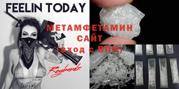 индика Заволжье