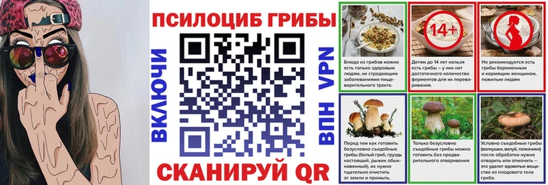 Псилоцибиновые грибы Psilocybine cubensis  Углегорск 