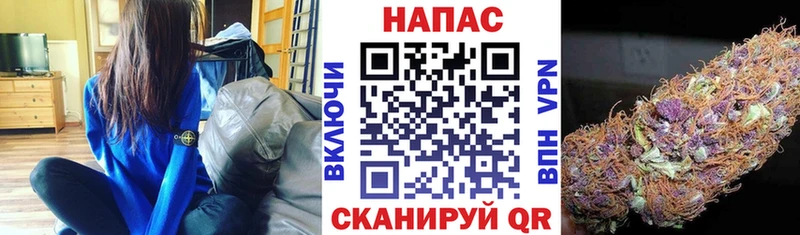 даркнет Telegram  Углегорск  Марихуана план  купить закладку 